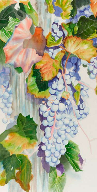 Watercolor painting demonstration of grapes- step 3