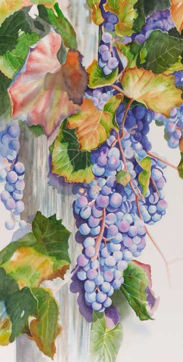 Watercolor painting demonstration of grapes- step 4