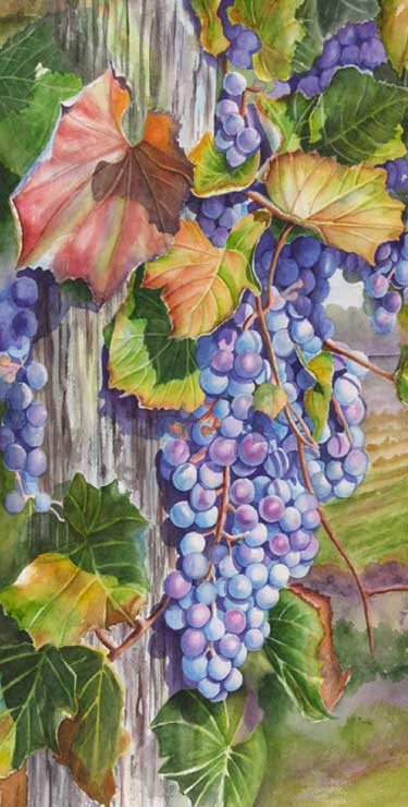 Watercolor painting demonstration of grapes- step 5