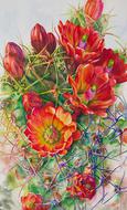 Watercolor painting of orange cactus flowers by Lisa Hill