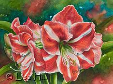 Watercolor painting of red and white striped amaryllis by artist Lisa Hill titled "Peppermint Sticks"
