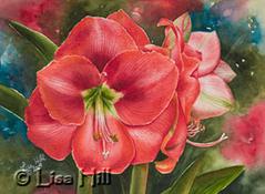 Watercolor painting of red amaryllis by artist Lisa Hill titled "Sugarplums"