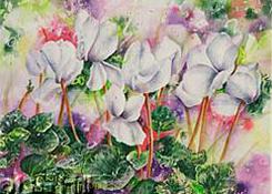 Watercolor painting of white Christmas cyclamen by artist Lisa Hill