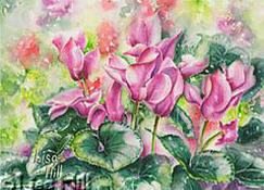 Watercolor painting of pink Christmas cyclamen by artist Lisa Hill