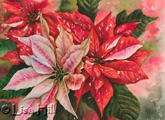 Watercolor painting of red poinsettias by artist Lisa Hill titled "Deck the Halls"