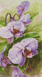 Watercolor painting of pink phalaenopsis orchid by Lisa Hill