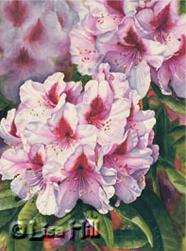Watercolor painting of pink rhododendron by artist Lisa Hill titled "Rhododentron Washington's Flower"