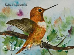 Watercolor painting of a Rufous hummingbird  by artist Lisa Hill