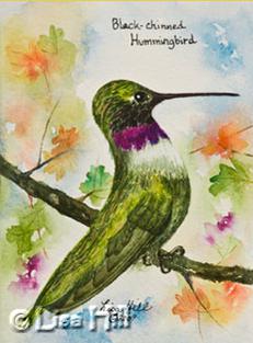 Watercolor painting of a Black-chinned hummingbird  by artist Lisa Hill