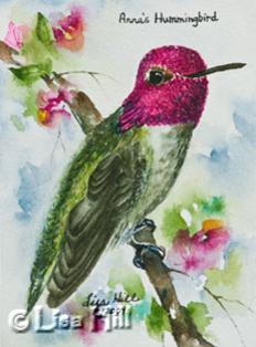 Watercolor painting of an Anna's hummingbird  by artist Lisa Hill