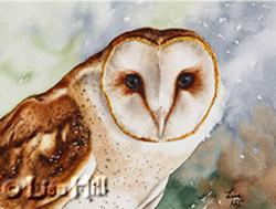 Watercolor painting of a Barn Owl by Richland WA artist Lisa Hill