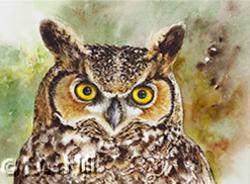 Watercolor painting of a Great Horned Owl by Richland WA artist Lisa Hill
