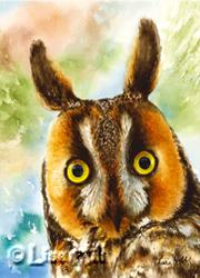 Watercolor painting of a Long-eared Owl by Richland WA artist Lisa Hill