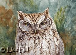 Watercolor painting of a Western Screech Owl by Richland WA artist Lisa Hill