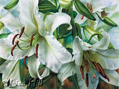 White Casa Blanca lilies in watercolor by artist Lisa Hill