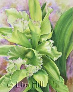 Step 5 of a demonstration of a watercolor painting of green Cattleya orchids by Lisa Hill