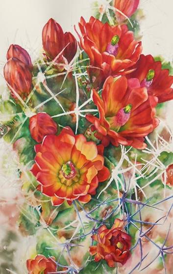 Watercolor demonstration of orange cactus flowers by Lisa Hill Setp 5