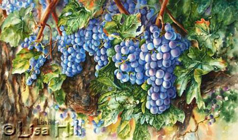 Watercolor painting demonstration of grapes on the vine - step 7