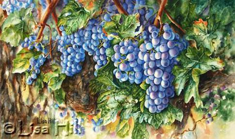 Watercolor painting demonstration of grapes on the vine - step 6