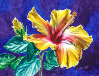 Watercolor painting of yellow hibiscus by artist Lisa Hill
